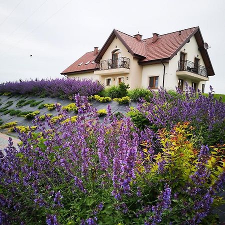 Apartamenty, Zielone Wzgorze Wiktora W Mikolajkach Mikołajki Esterno foto