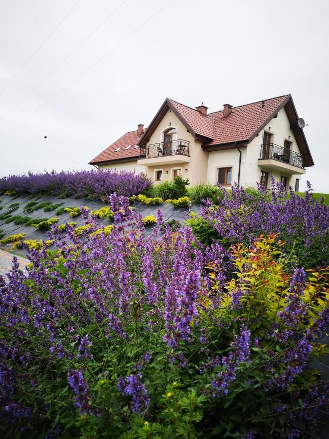Apartamenty, Zielone Wzgorze Wiktora W Mikolajkach Mikołajki Esterno foto