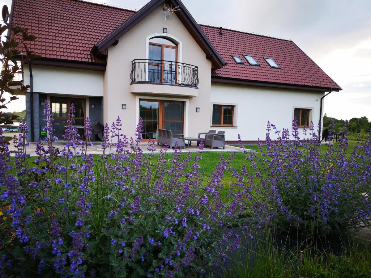 Apartamenty, Zielone Wzgorze Wiktora W Mikolajkach Mikołajki Esterno foto