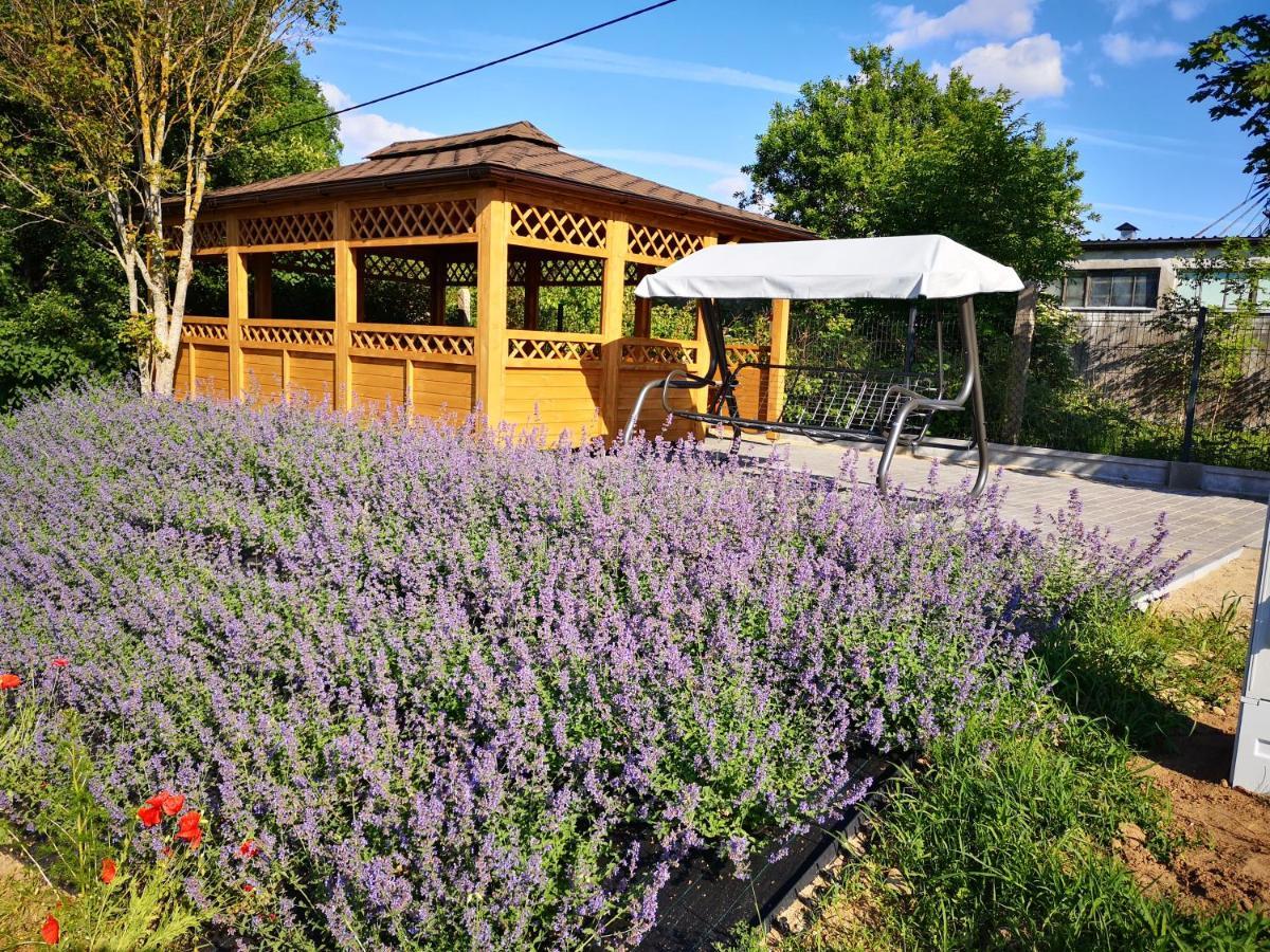 Apartamenty, Zielone Wzgorze Wiktora W Mikolajkach Mikołajki Esterno foto