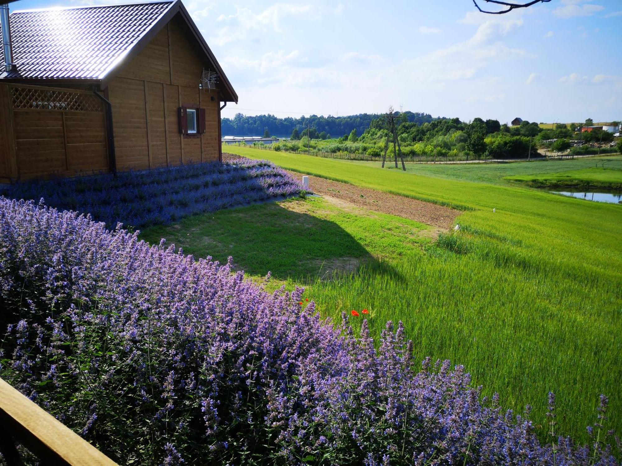 Apartamenty, Zielone Wzgorze Wiktora W Mikolajkach Mikołajki Camera foto